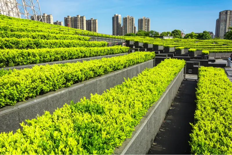 Imóvel agrário em território urbano é devedor de ITR ou IPTU?