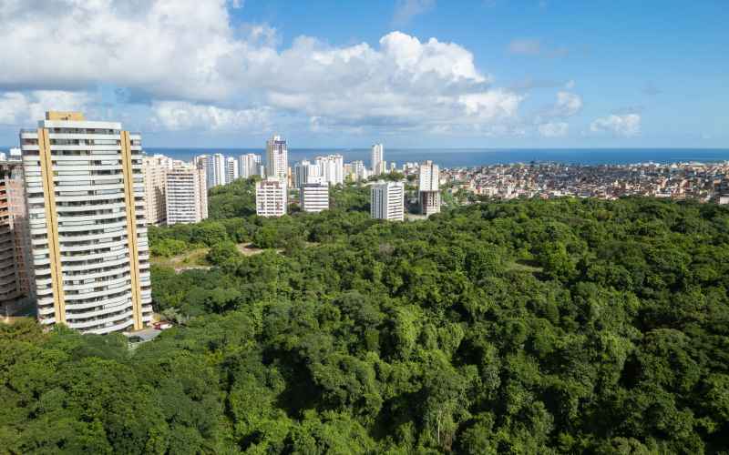 Imunidade no IPTU